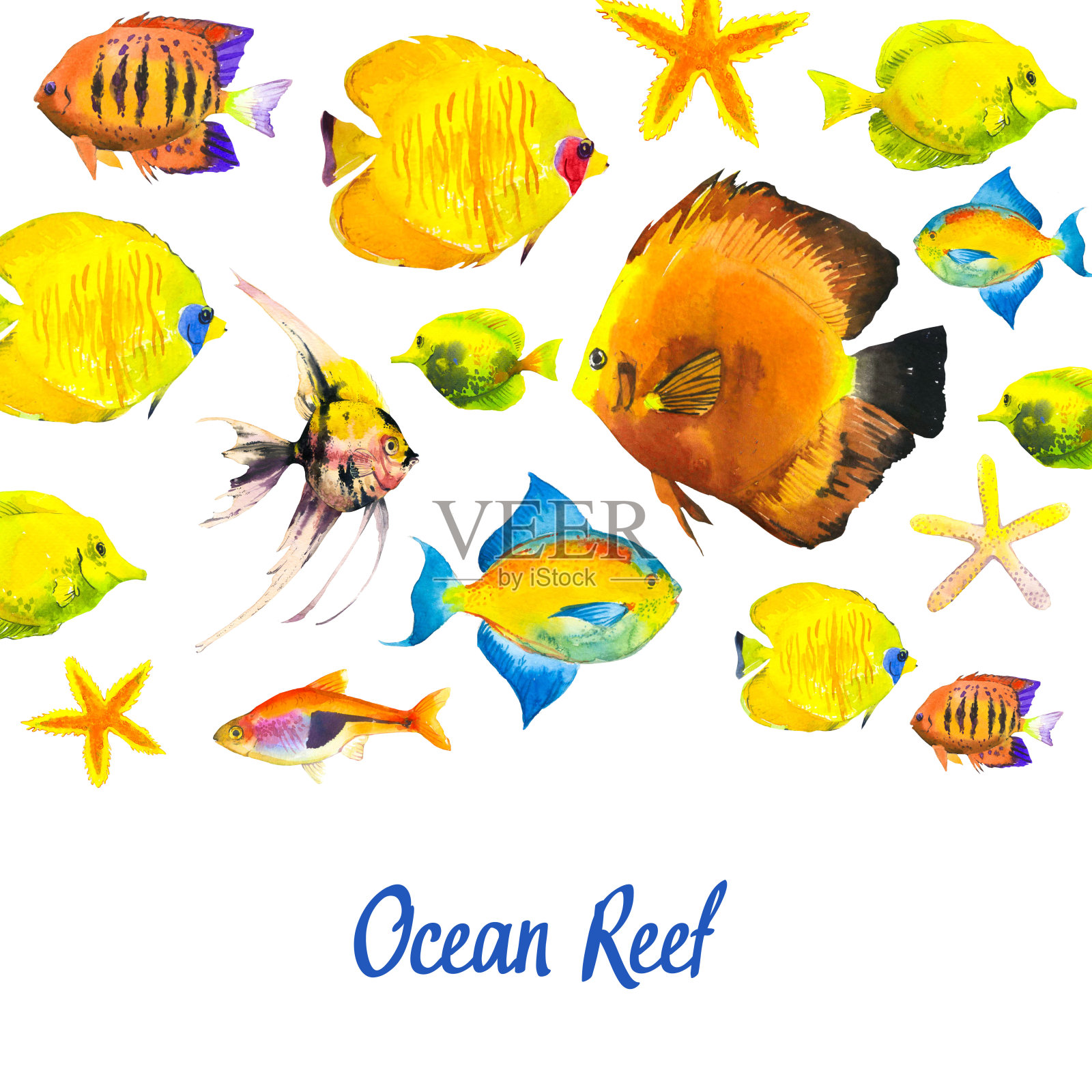 热带鱼图案。水彩插图与手绘水族馆外来鱼在白色的背景插画图片素材