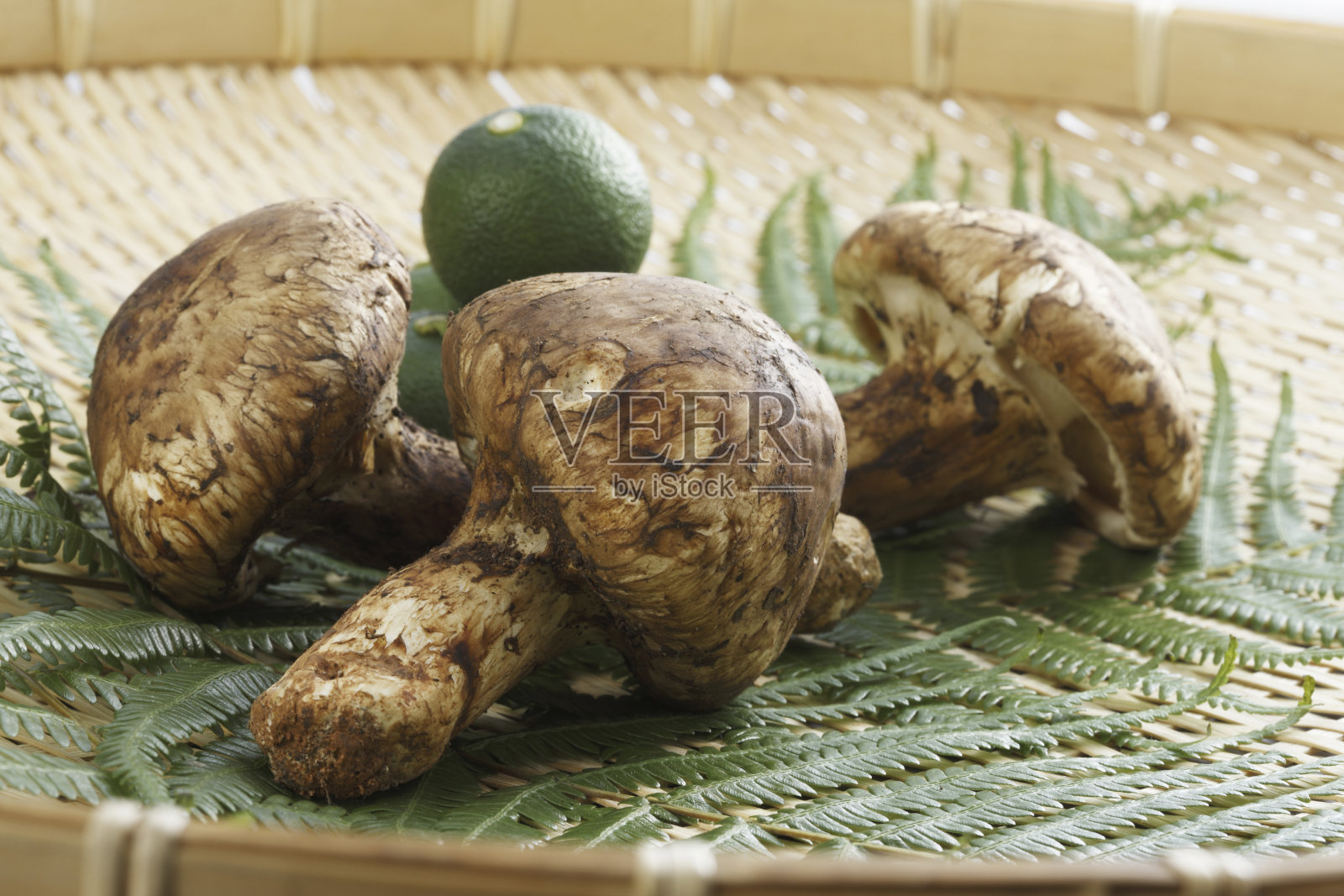 日本松茸蘑菇照片摄影图片