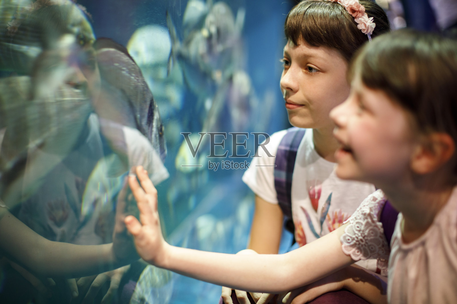 孩子们在一个大水族馆里看鱼照片摄影图片