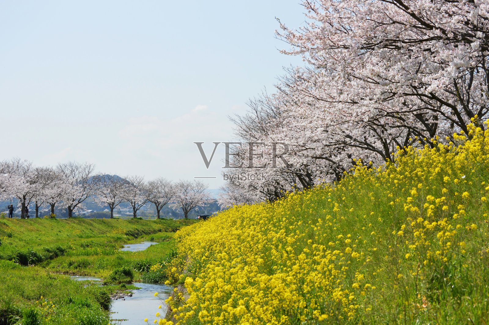 日本的春景照片摄影图片