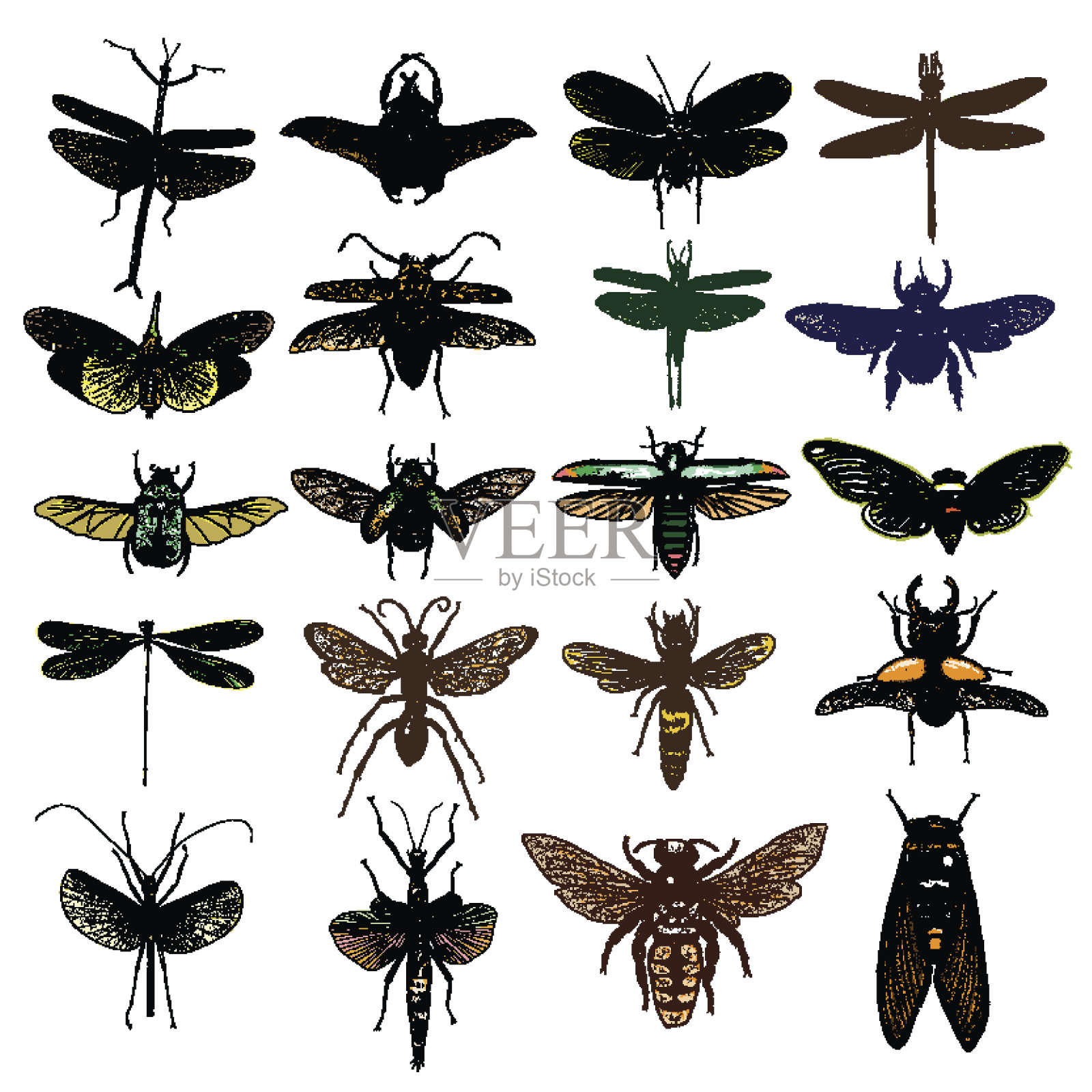 大套彩色昆虫，虫子，甲虫，苍蝇，蜜蜂，跳蚤。许多品种以彩色古色古香的手绘点画和孵卵、底纹风格。雕花点画木刻。向量。设计元素图片