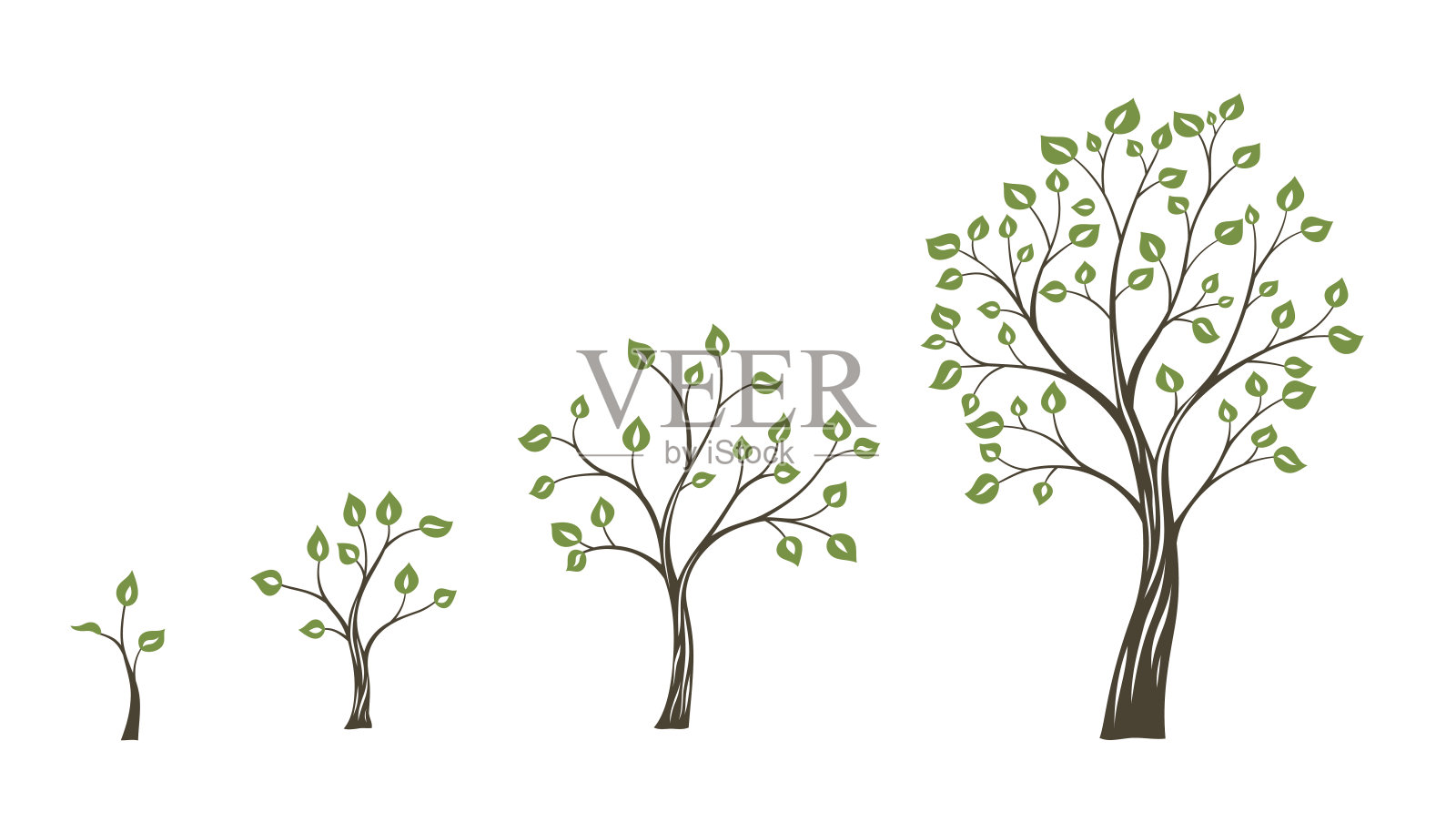 绿树生长生态理念。树的生命周期设计模板素材