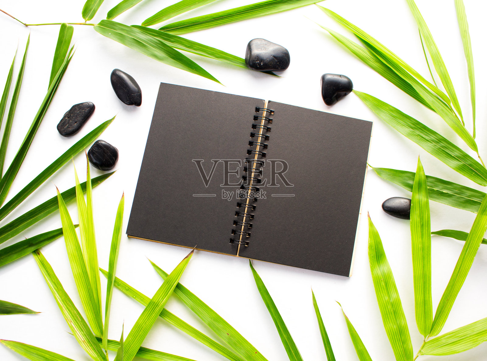 黑色的纸和竹叶背景。黑色的速写本模型。照片摄影图片