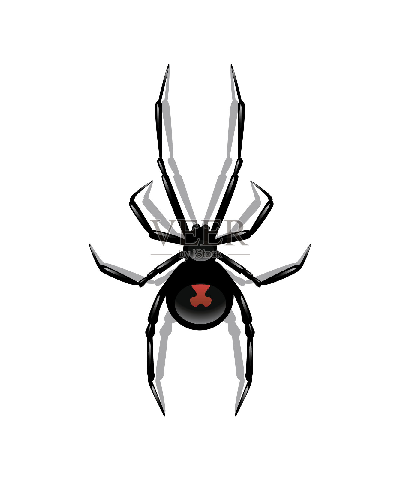 黑蜘蛛孤立在白色背景上。矢量对象。插画图片素材