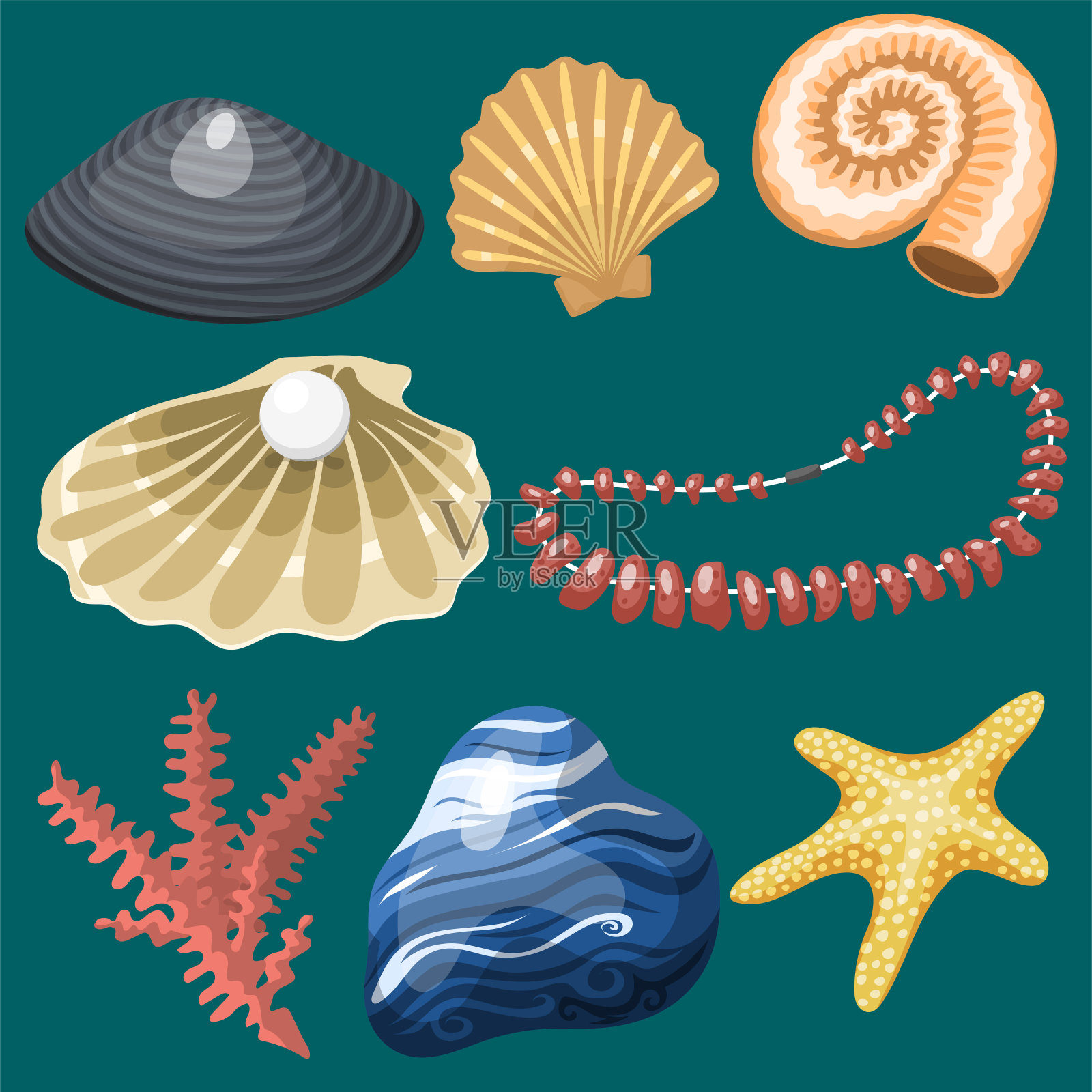 海洋海洋动物和贝壳纪念品卡通矢量插图螺旋热带软体动物贻贝装饰插画图片素材