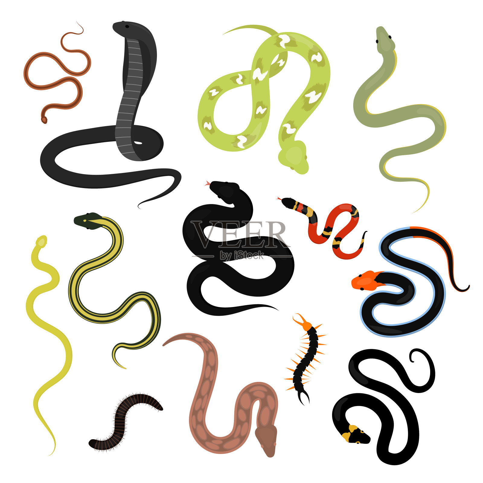 不同的蛇爬行动物卡通向量集设计元素图片