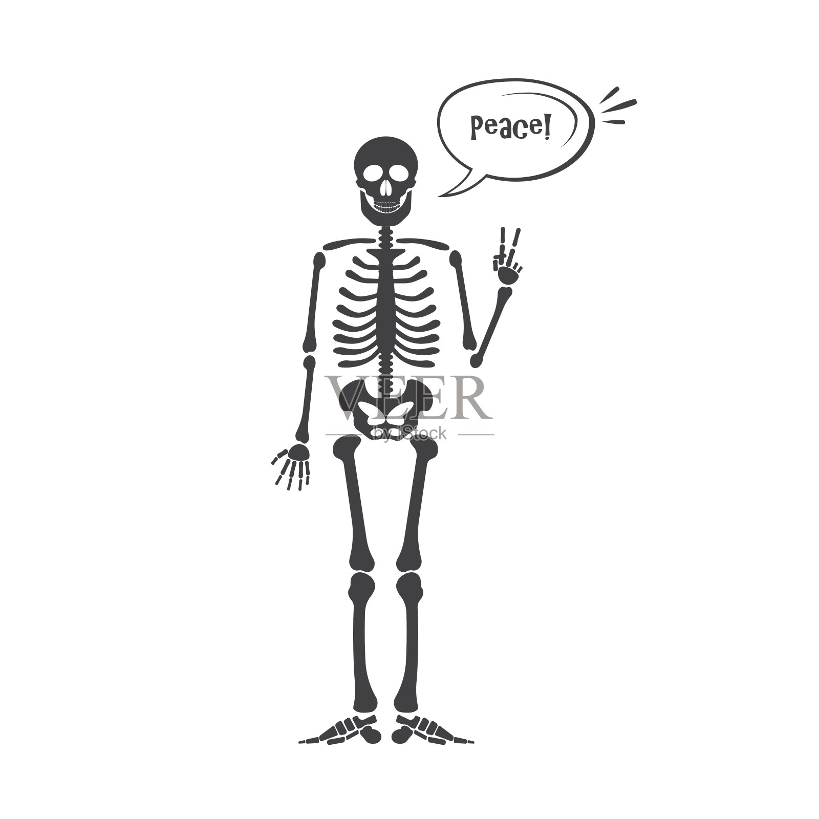骨架人体解剖学插画图片素材