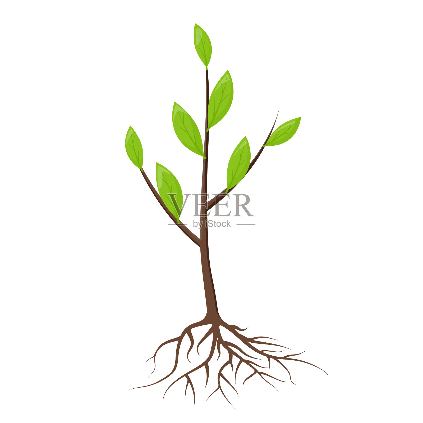 有根有叶的树设计元素图片