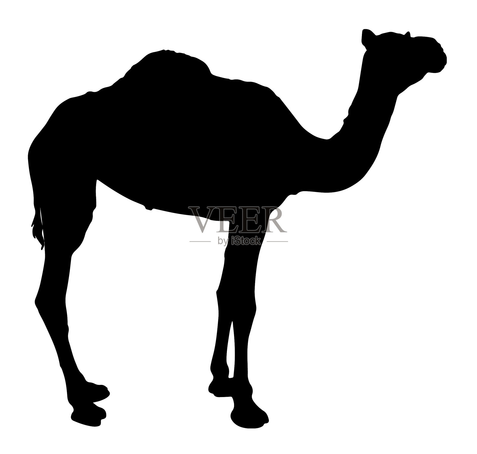 骆驼矢量剪影剪辑艺术数字集设计元素图片