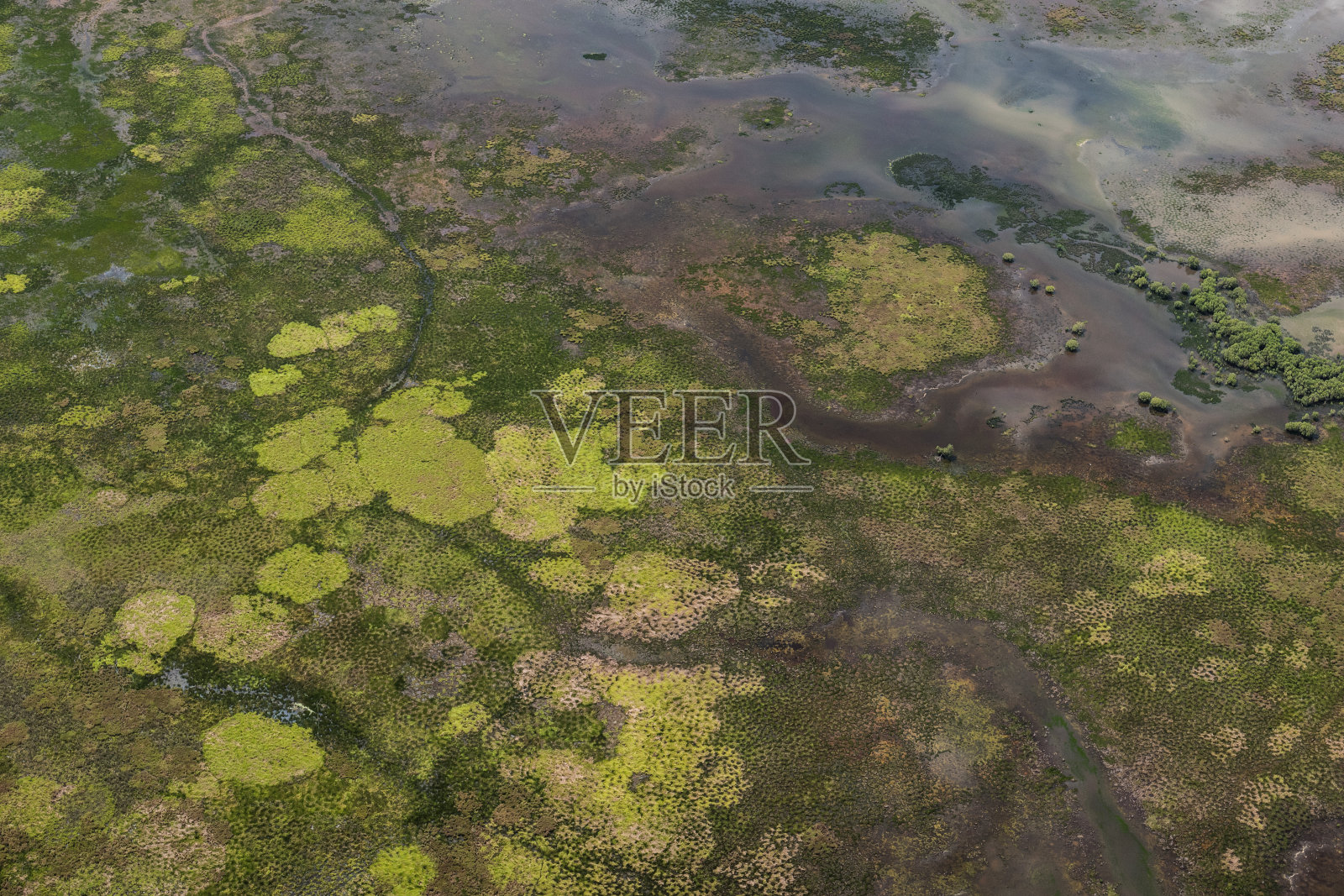 阿德莱德河附近湿地的鸟瞰图照片摄影图片