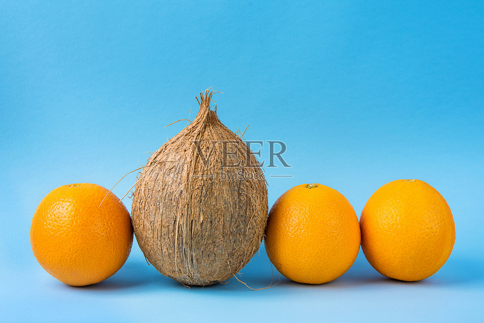 一排相同的橙子，一个单一的椰子在蓝色的背景。个性个性独特性概念。创造性的鼓舞人心的形象。本空间照片摄影图片