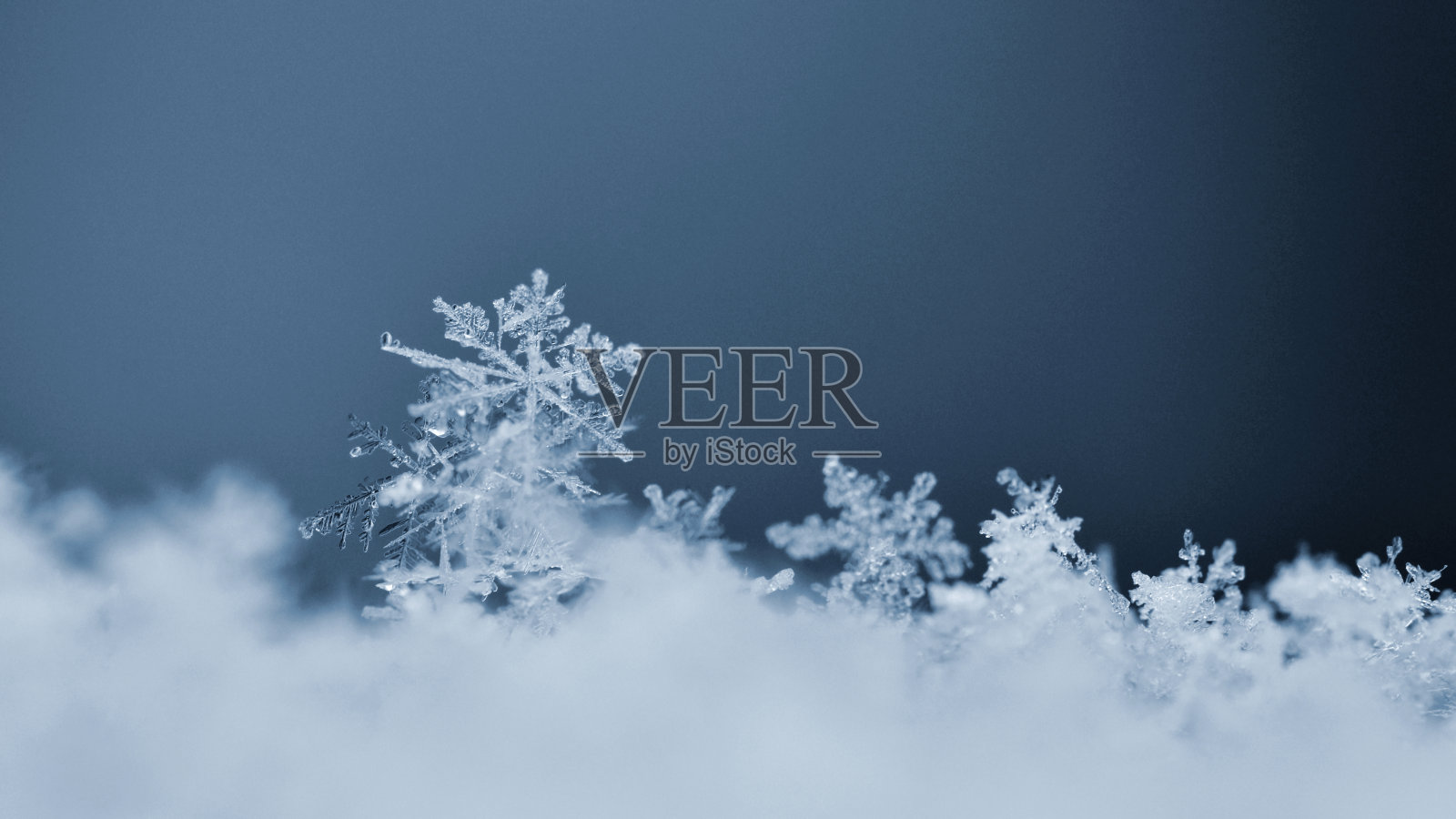 雪花。微距照片的真实雪晶体。美丽的冬季背景，季节性的自然和冬天的天气。照片摄影图片