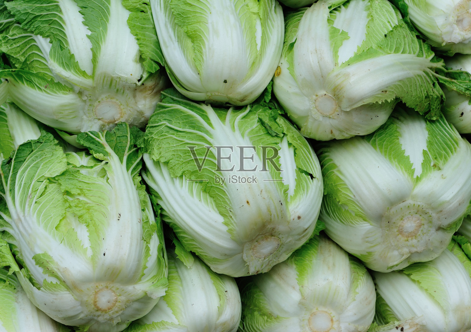 市场上卖的新鲜白菜照片摄影图片