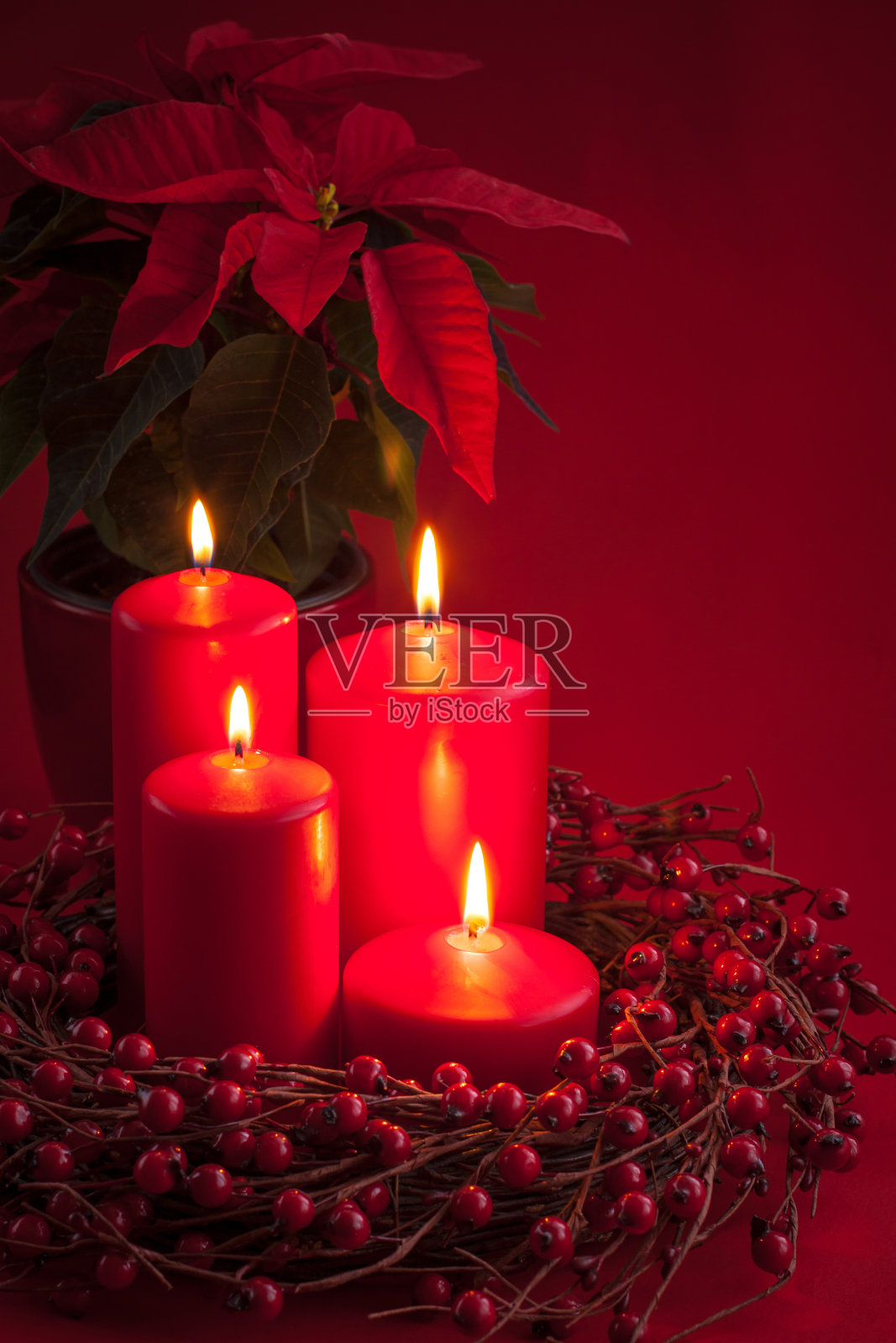 红色燃烧的圣诞节蜡烛与浆果花环和一品红在红色的背景照片摄影图片