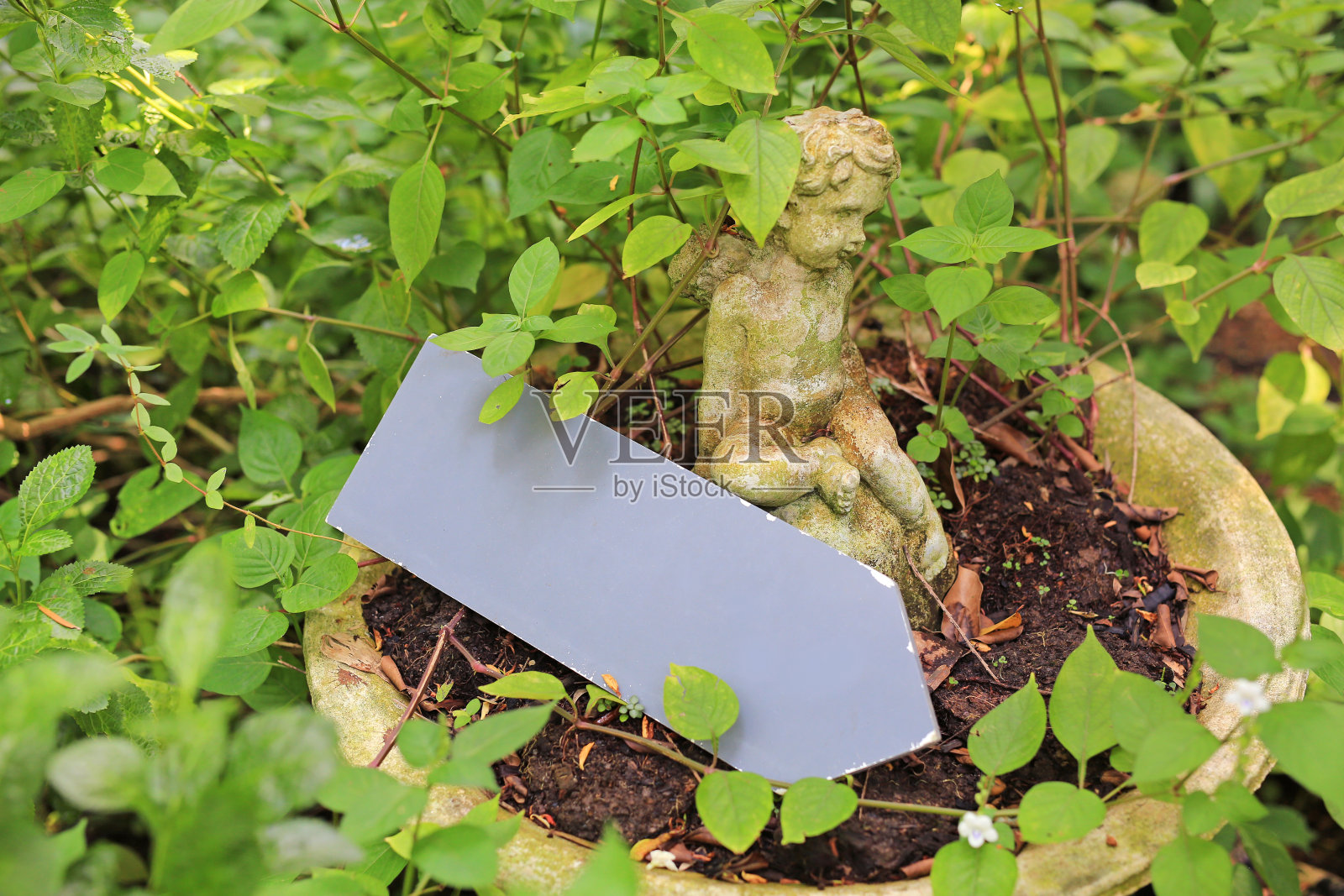 丘比特雕像和箭头空白标签在花园里。照片摄影图片