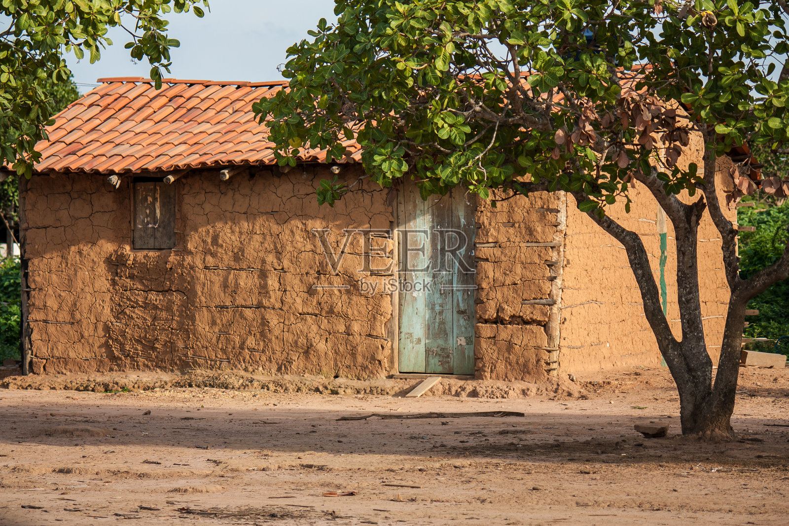 巴西乡村贫困地区典型的泥屋照片摄影图片