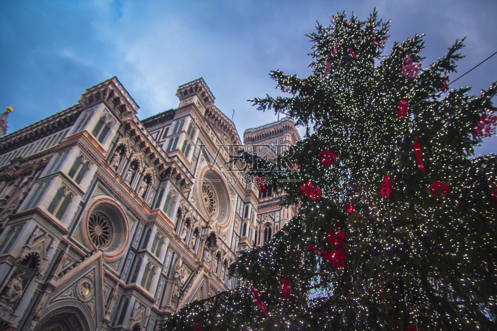 这棵圣诞树位于佛罗伦萨的主教堂圣玛丽亚照片摄影图片
