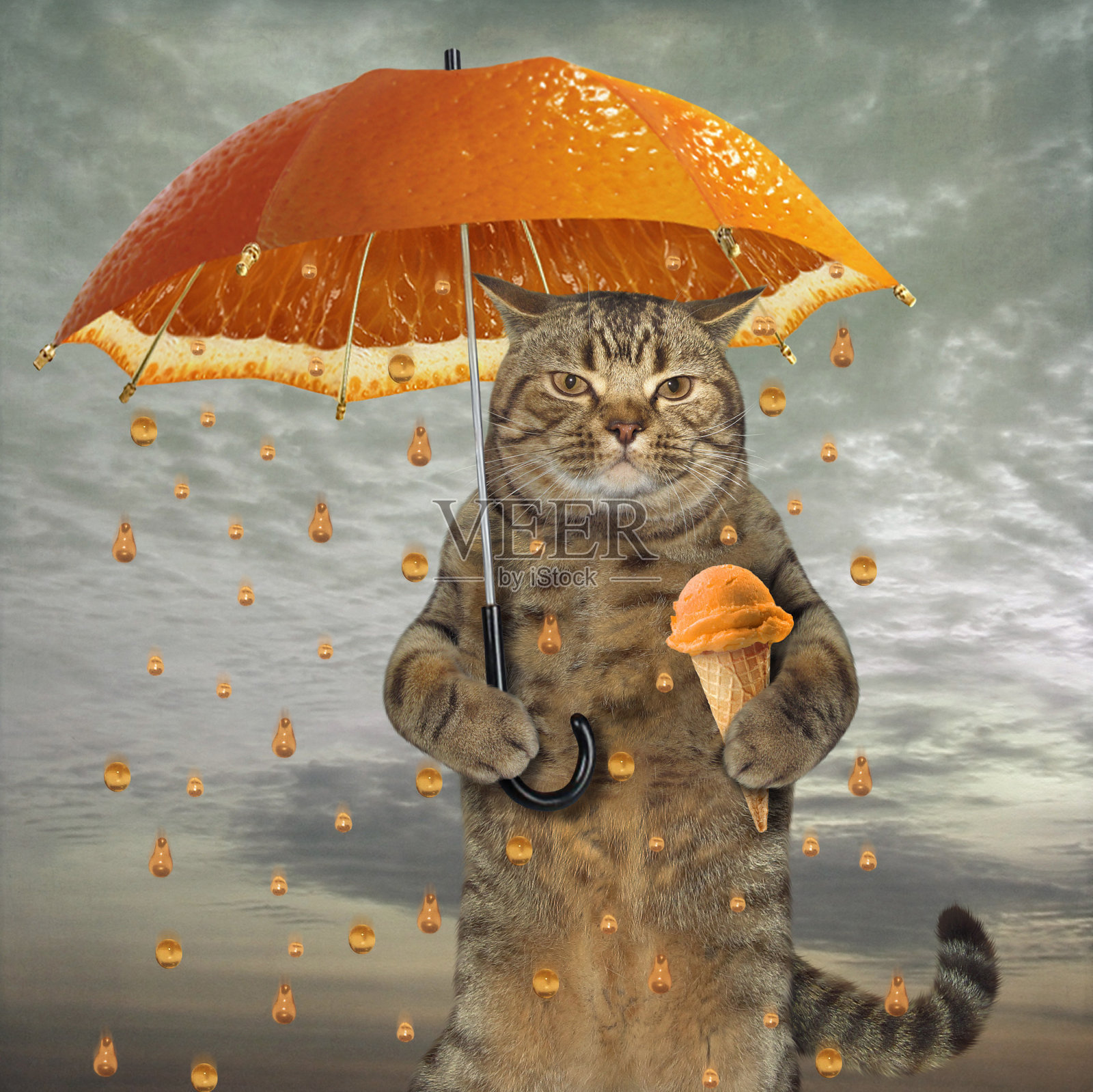 拿着一把橙色雨伞的猫插画图片素材