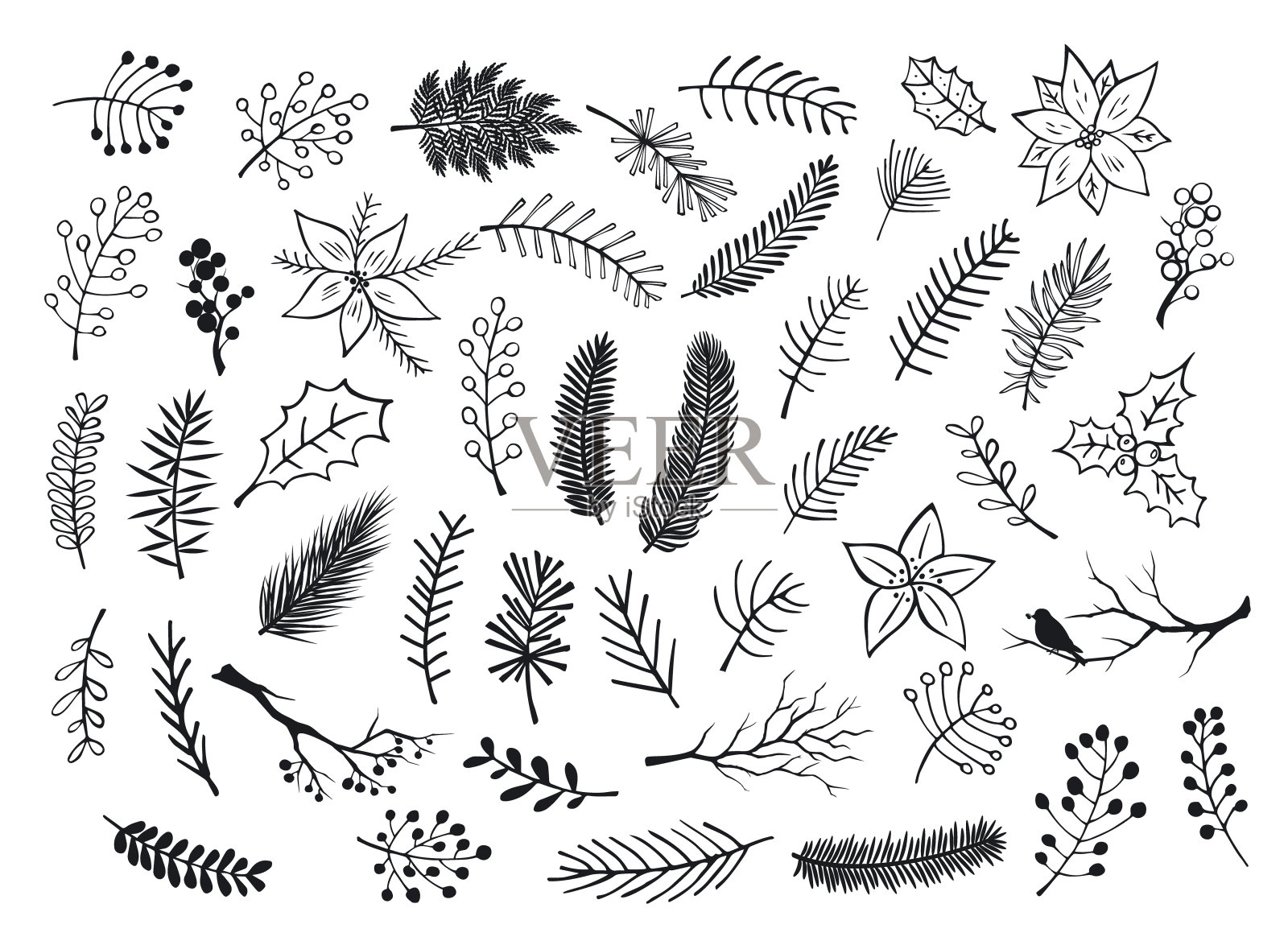 收集手绘的冬季树叶的轮廓和剪影，树枝小枝，花朵在黑色的颜色设计元素图片