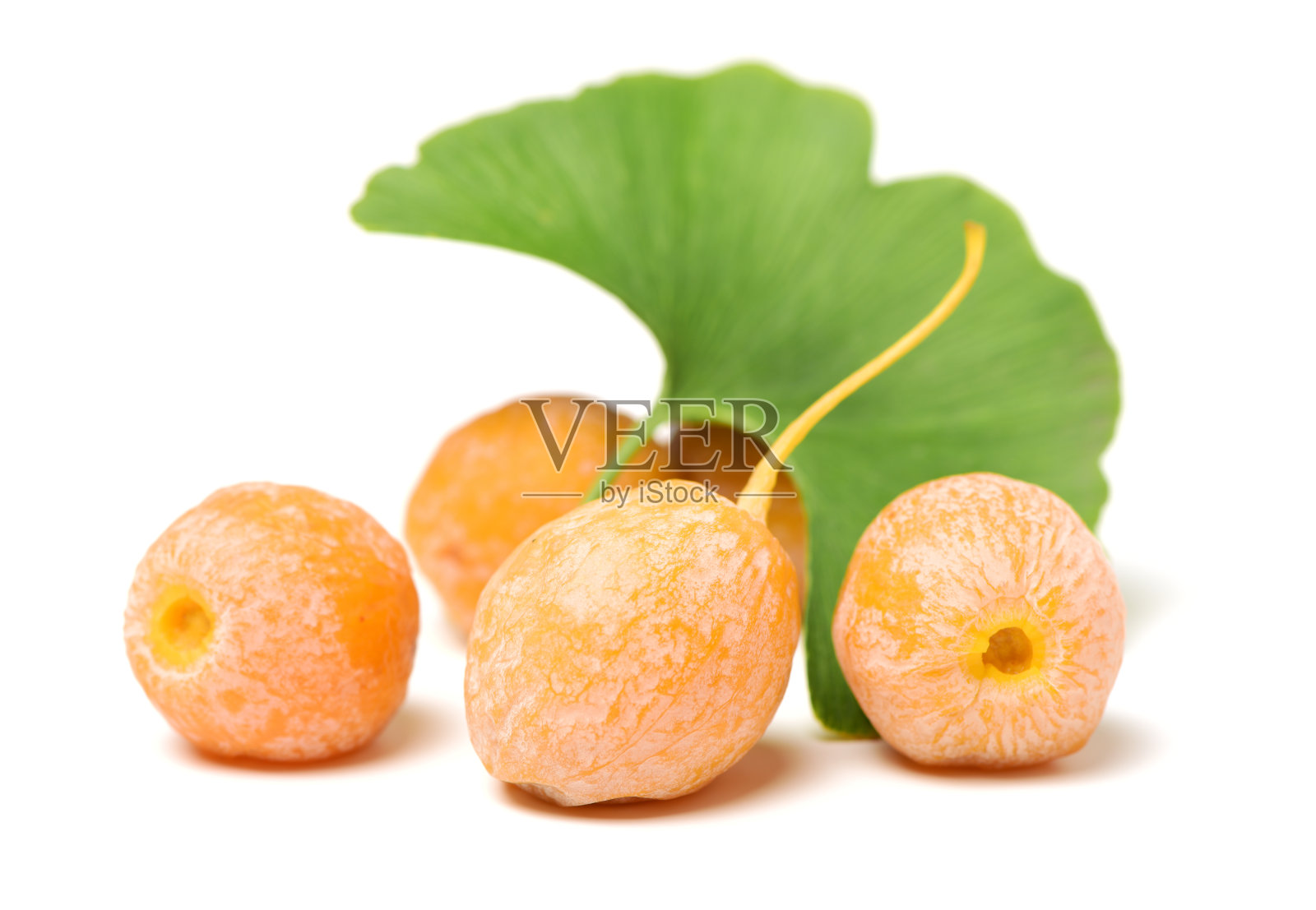 银杏的果实和叶子孤立在白色背景上照片摄影图片