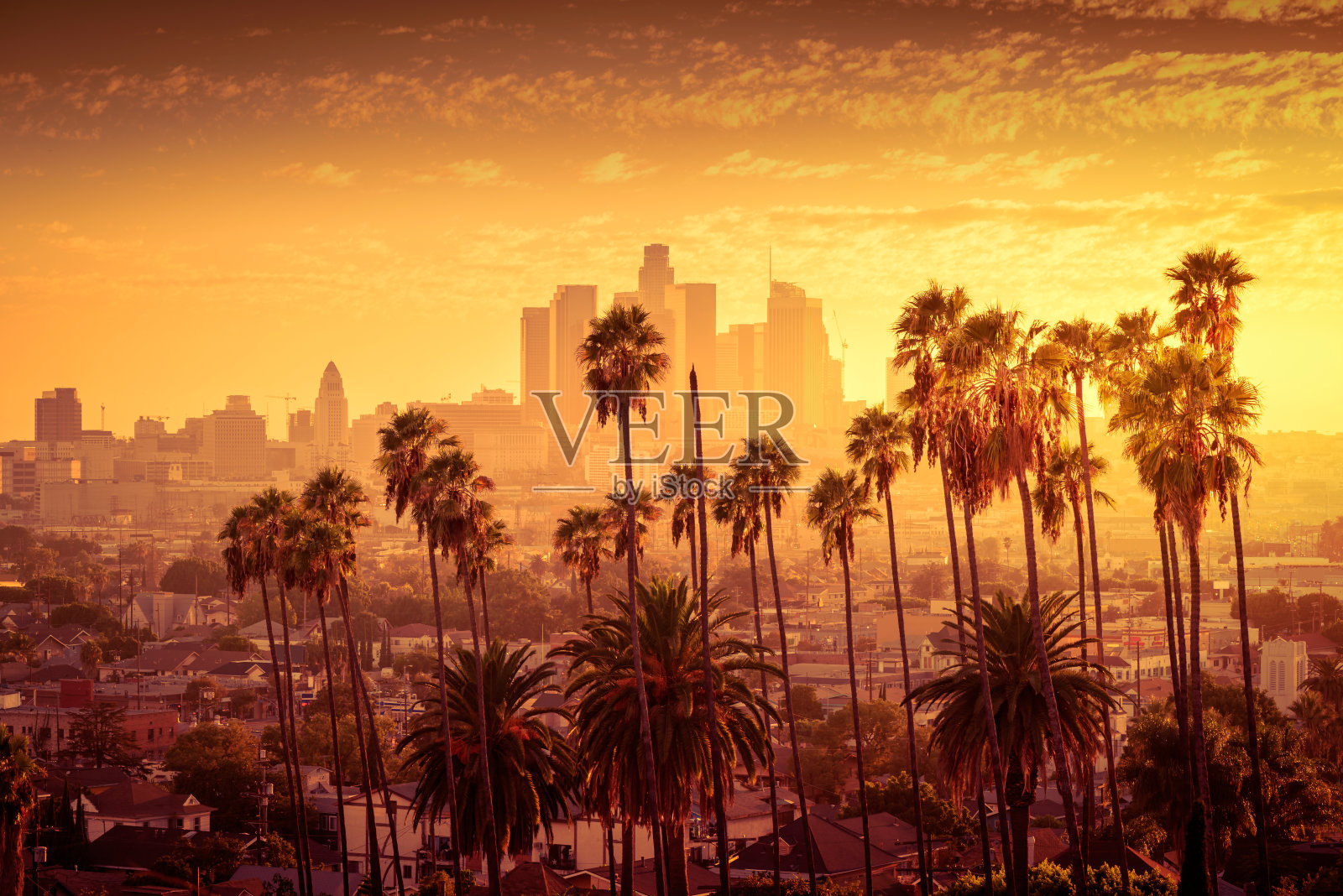 美丽的日落洛杉矶市中心天际线和棕榈树在前景照片摄影图片