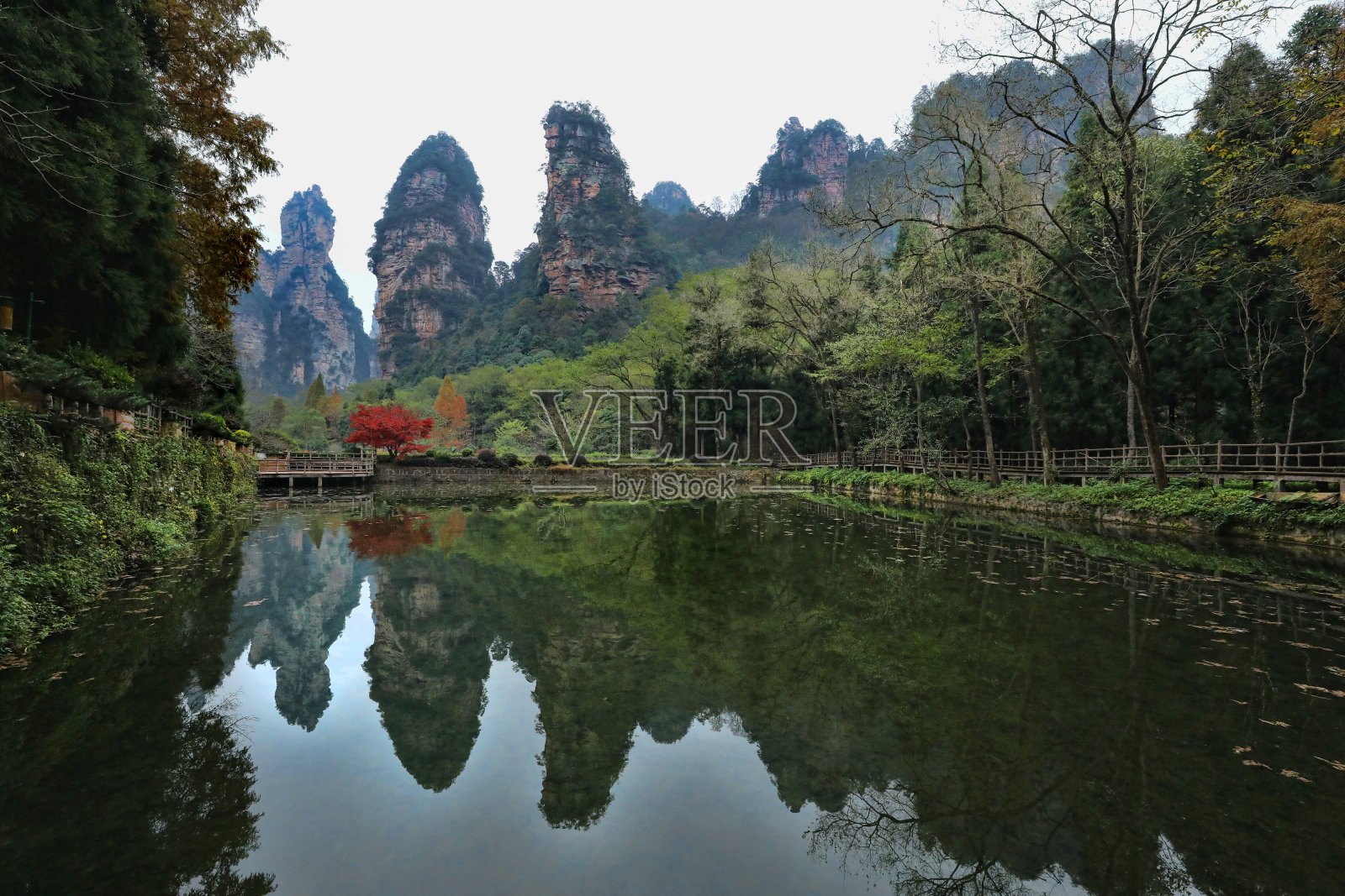 中国张家界国家公园内的景观照片摄影图片