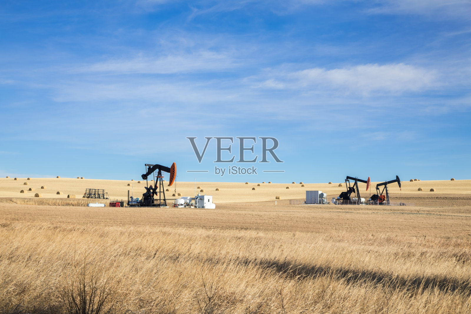 油泵千斤顶和油桶在农田中间。景观。石油工业设备。卡尔加里,加拿大阿尔伯塔省。照片摄影图片