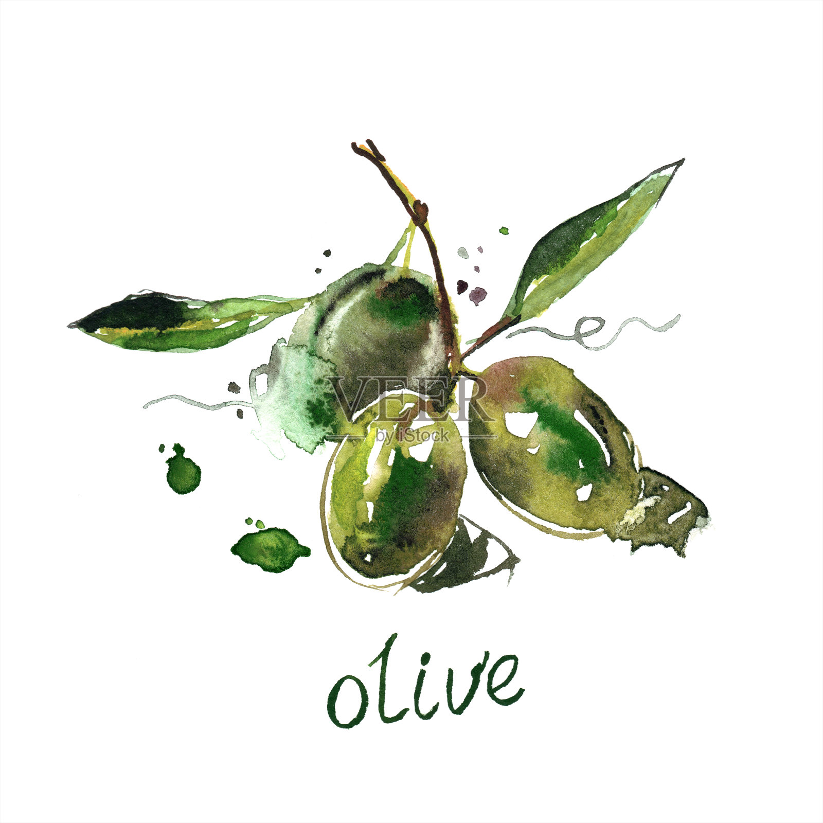 水彩手绘绿色橄榄在白色的背景。插画图片素材