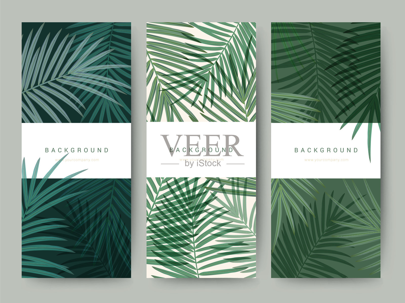 品牌包装棕榈椰竹树叶自然背景，图标横幅代金券，春夏热带，矢量插图插画图片素材