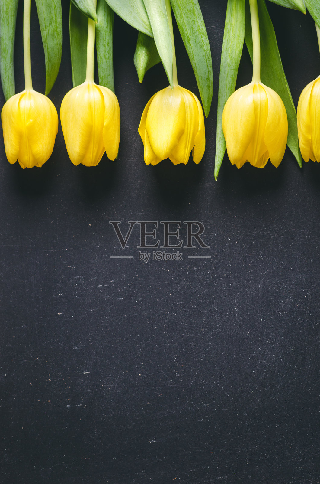 黄色的郁金香花在黑板的背景与复制空间的一篇文章。上面的观点。自然背景。情人节礼物照片摄影图片