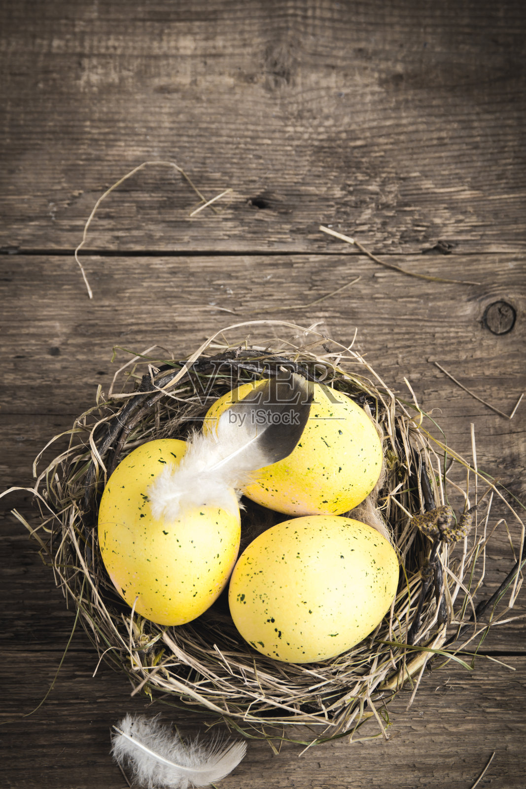 巢中的复活节彩蛋照片摄影图片