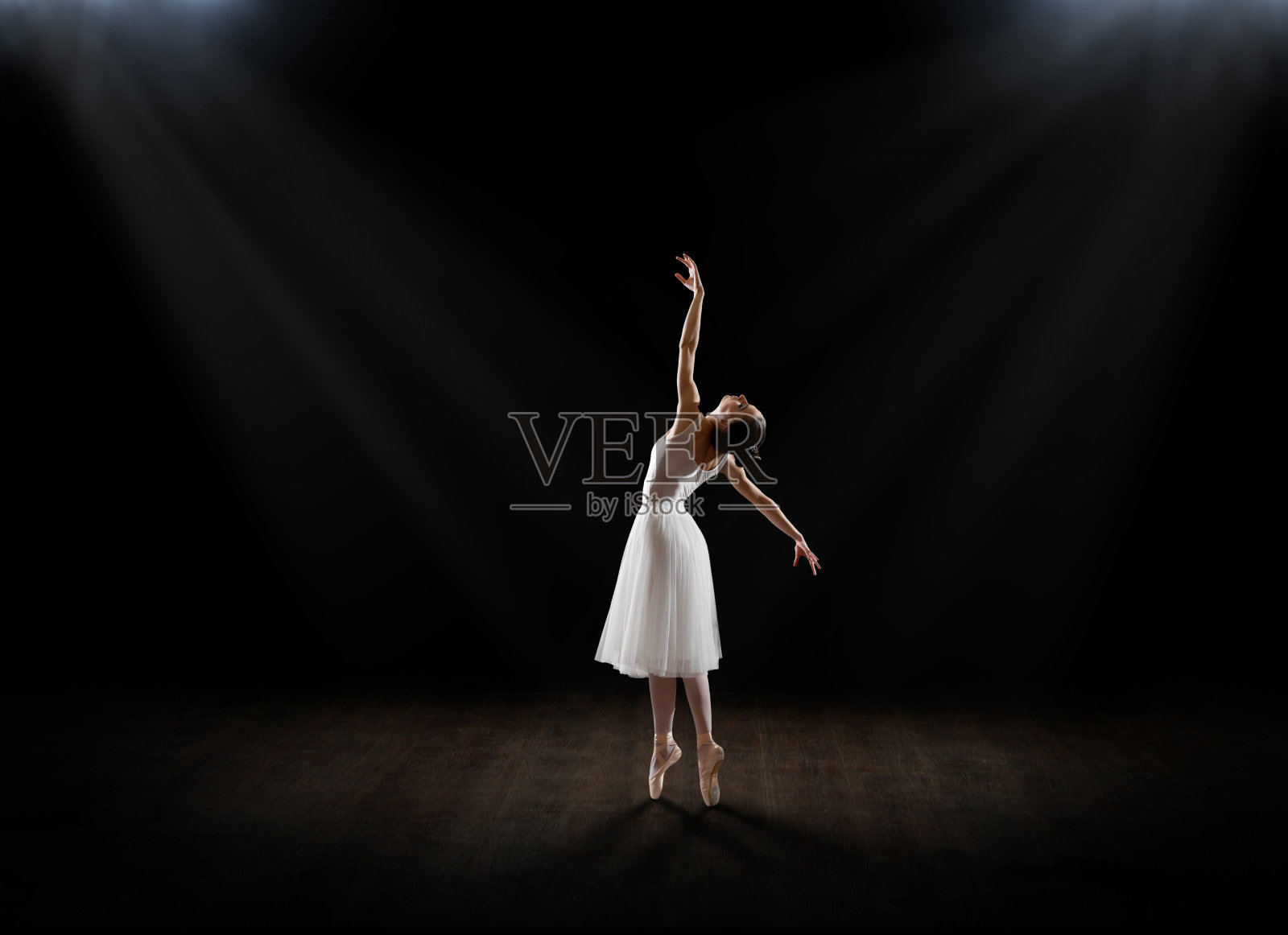 芭蕾舞女演员(音乐厅版)照片摄影图片