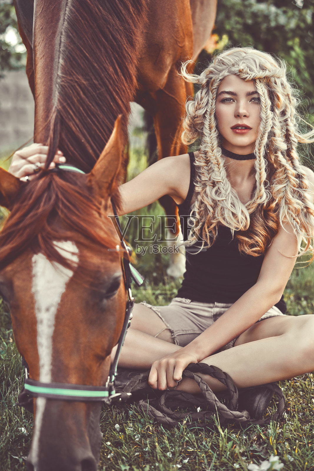 年轻的女孩和棕色的马照片摄影图片