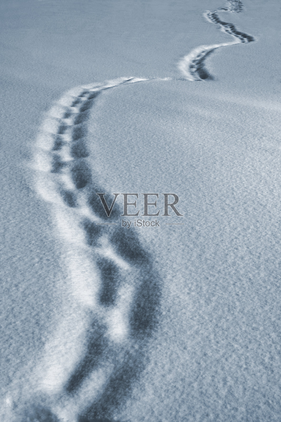 雪地上的脚印，冬天的脚印，人的脚印照片摄影图片