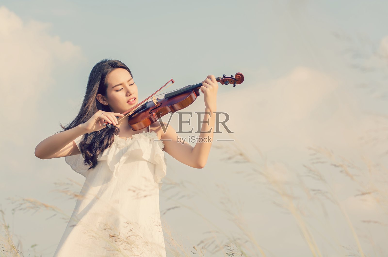 美丽的女人站在草地上拉小提琴照片摄影图片