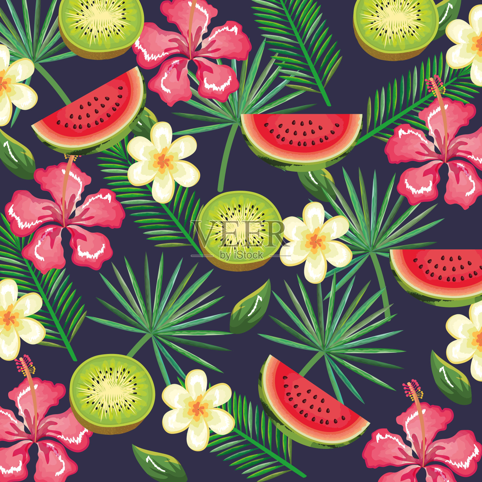 有西瓜和猕猴桃的热带花园插画图片素材