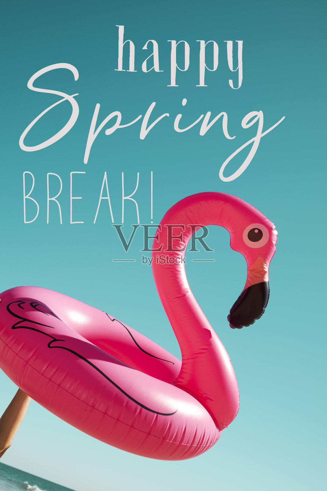 粉红火烈鸟和短信祝春假快乐照片摄影图片