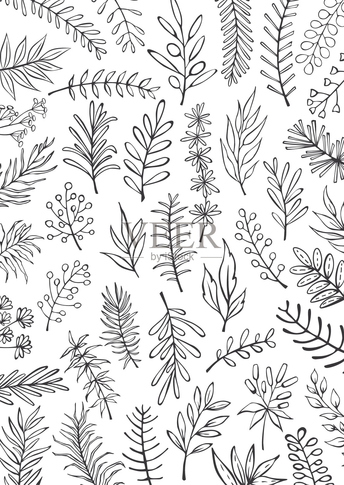 黑白花手绘农家风格勾勒细枝枝桠背景插画图片素材