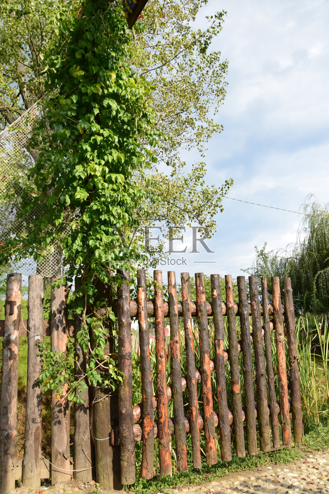 前面或后院的木栅栏照片摄影图片