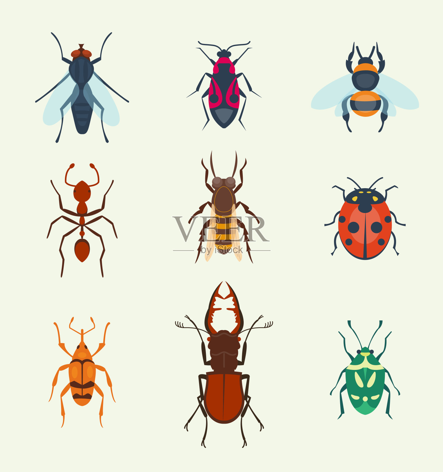 矢量昆虫图标孤立的背景彩色俯视图插图野生动物翅膀蝇昆虫细节宏观动物夏季昆虫插图图标素材