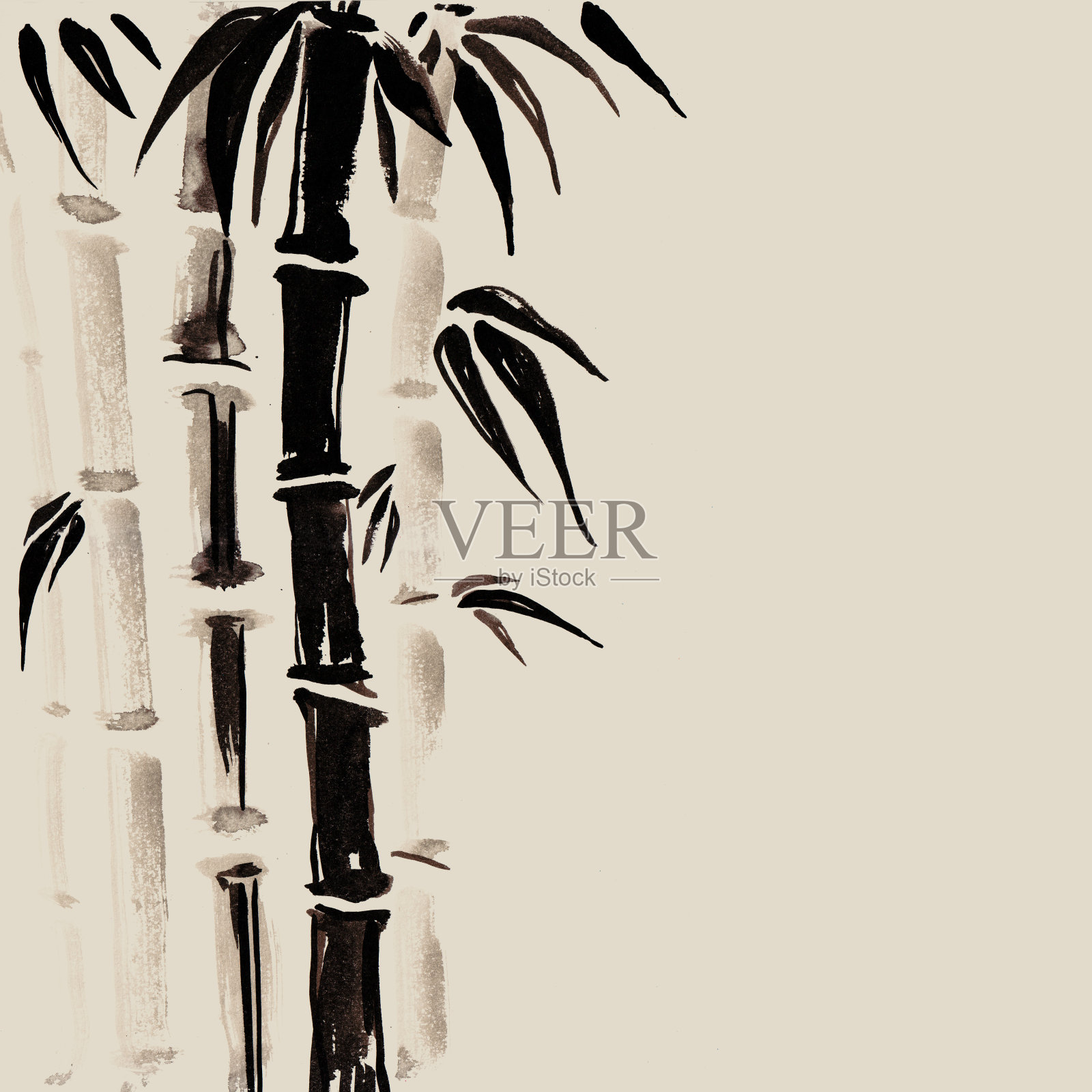 日式竹子。水彩手绘插画插画图片素材