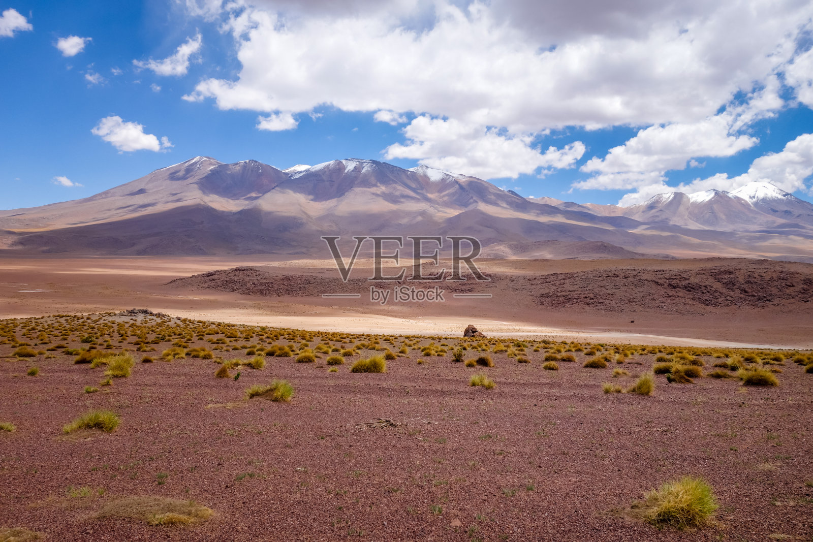 玻利维亚南利佩保护区阿尔蒂普拉诺山照片摄影图片