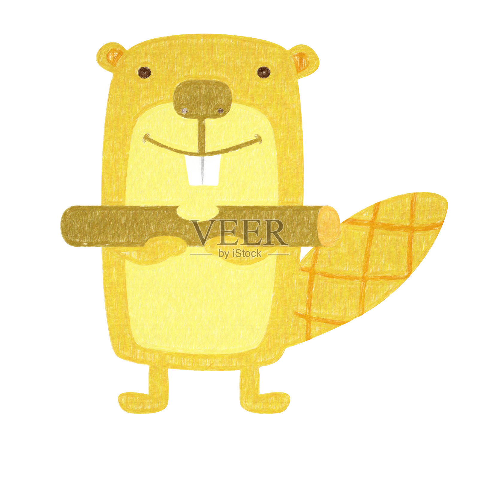 动物-海狸插画图片素材
