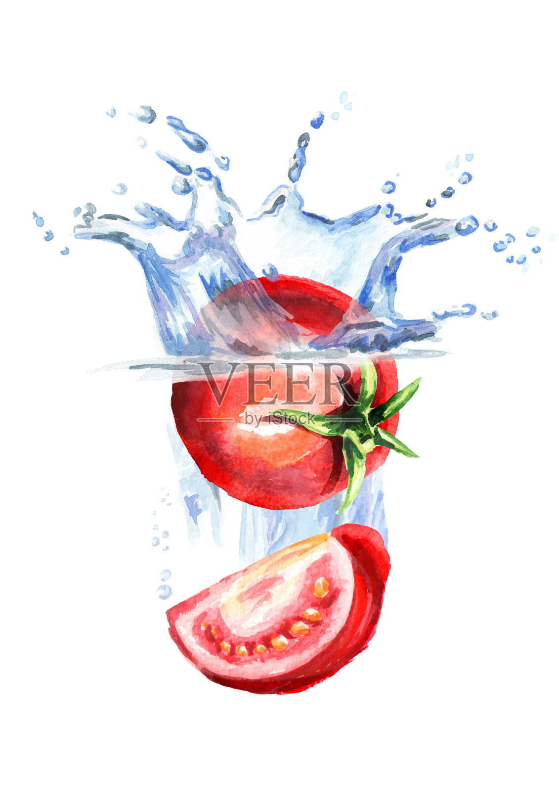 新鲜的西红柿落入水中孤立的白色背景。水彩手绘插图插画图片素材