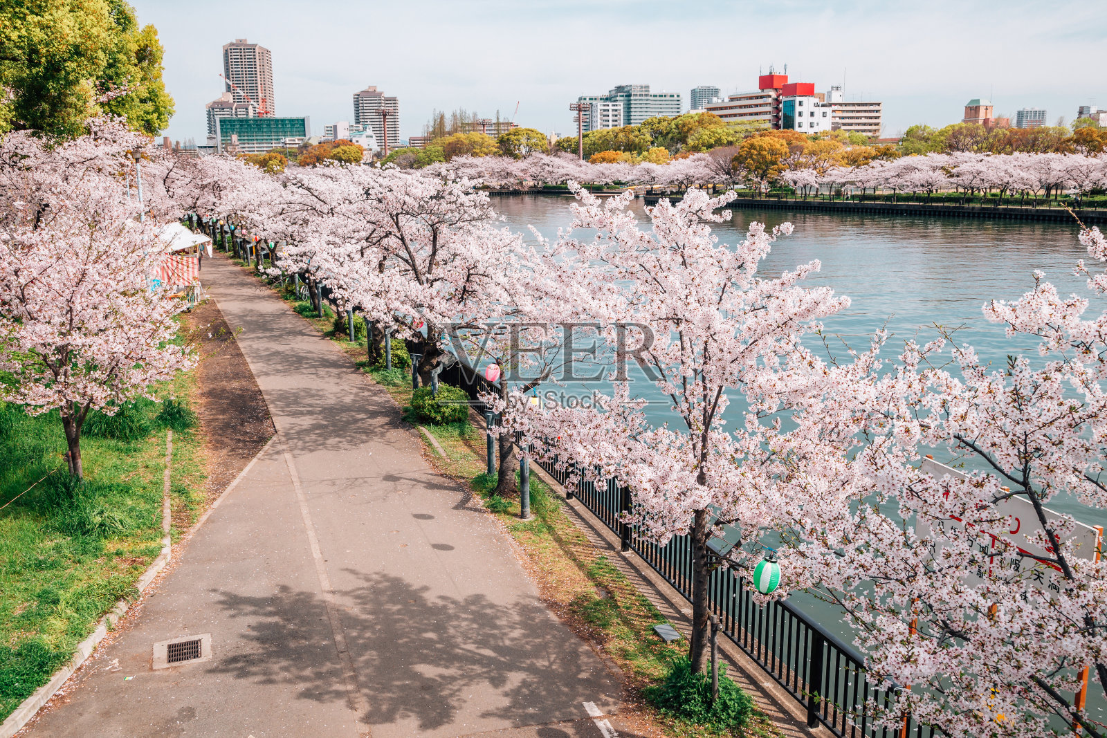樱花盛开的道路与河流大阪，日本照片摄影图片
