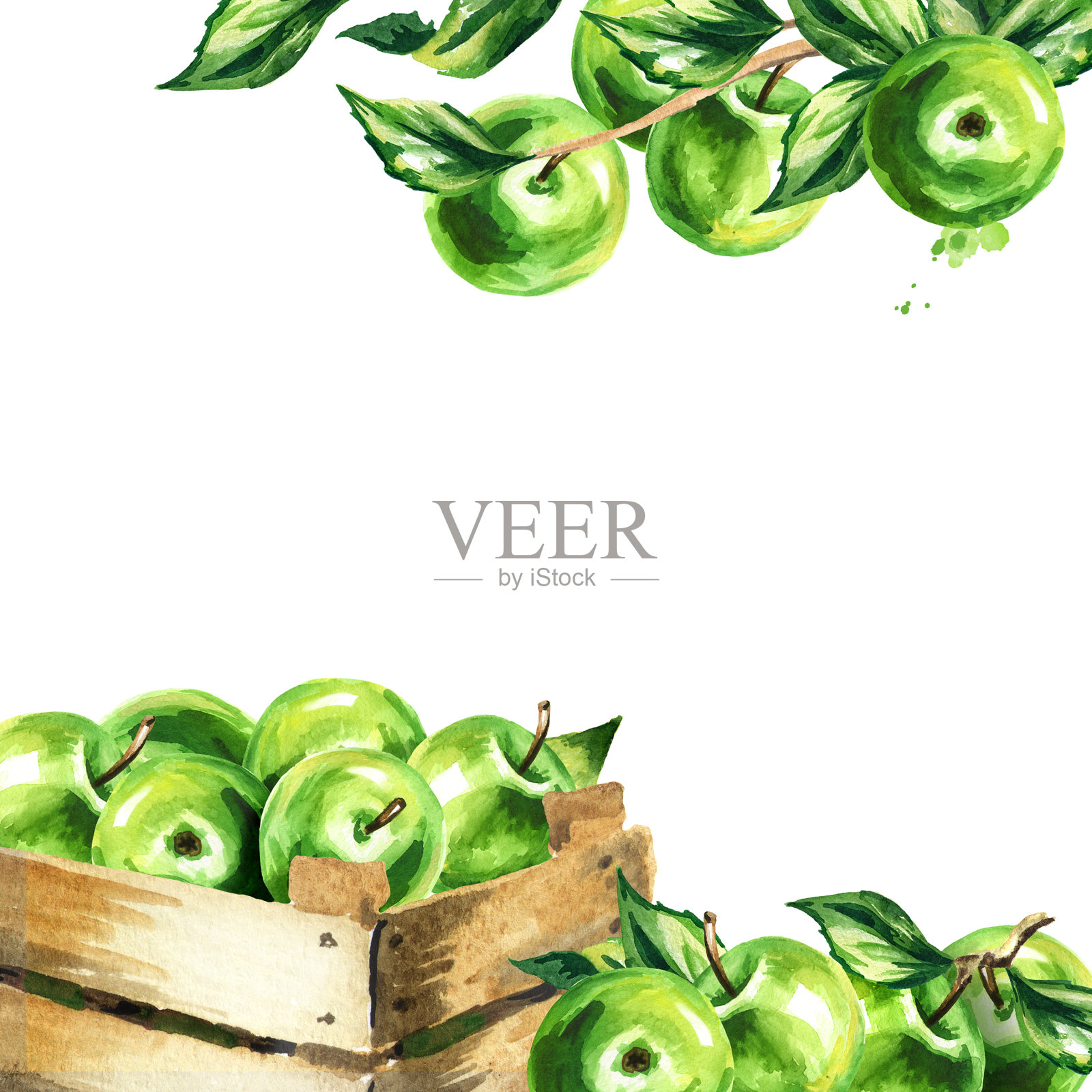 绿色的苹果和树叶的方形背景。水彩手绘模板插画图片素材