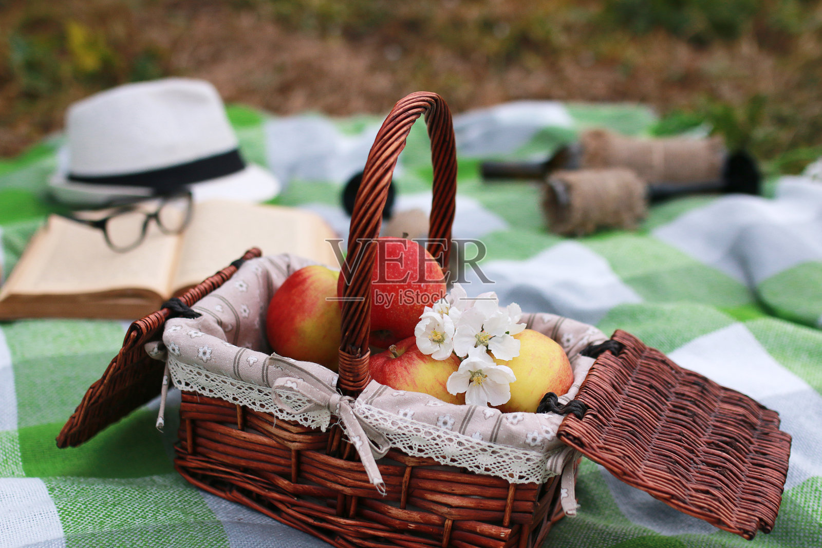 篮子上的食物格子在春天公园野餐照片摄影图片