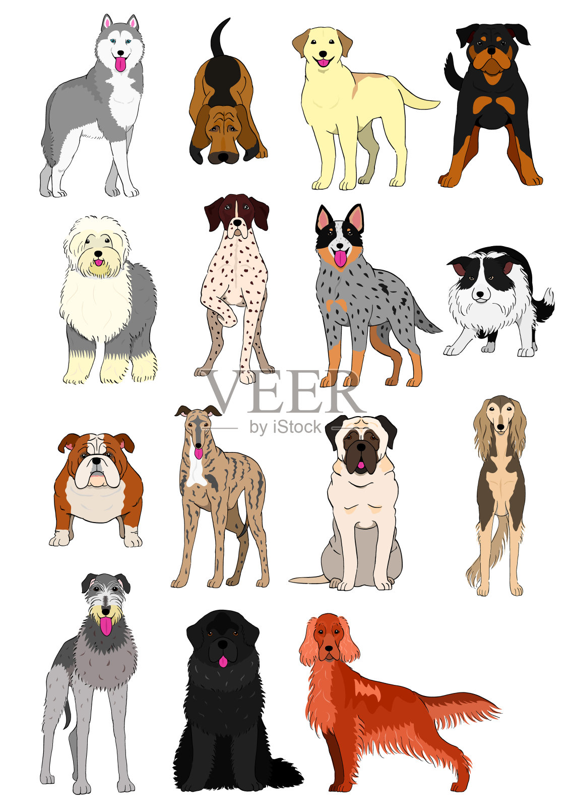 大犬群和中犬种手绘插画图片素材