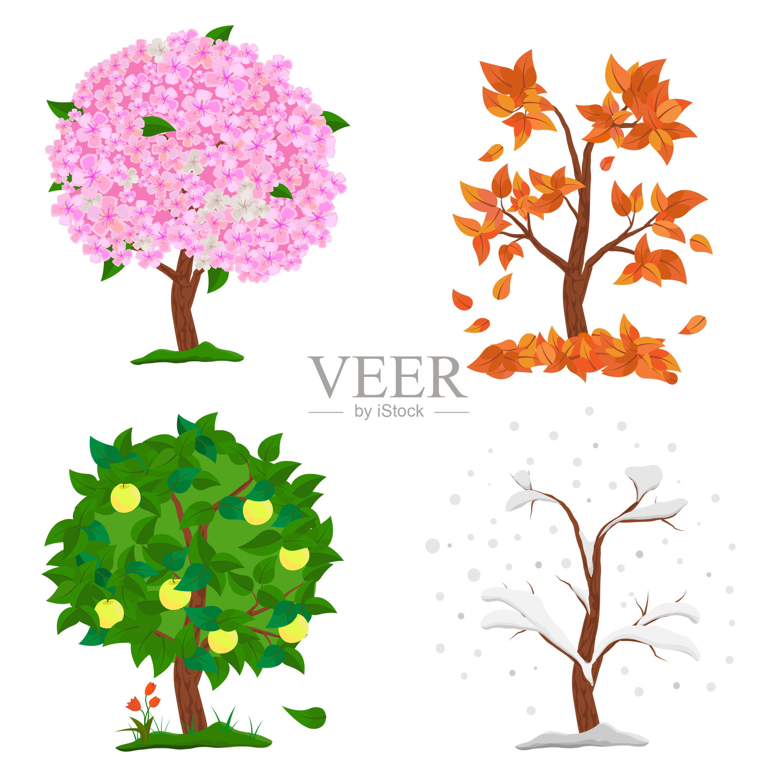 树有四季——春、夏、秋、冬。收集孤立在白色背景上的苹果树。树上有绿色和橙色的叶子，树枝上有花和雪。矢量图设计元素图片