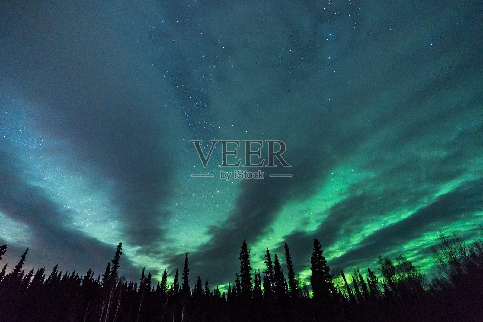 奇异的云、北极光和星星在树木的轮廓线后呈扇形散开照片摄影图片